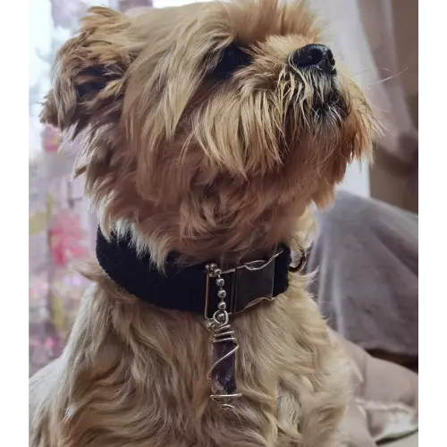 Pet pendant/ personal keyring - German silver wire wrapped reiki charged crystals